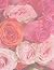 Concrete Leaf & Roses