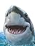 Shark Journal: Lined Notebook and Journal for Kids