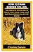 HOW TO TRAIN BORDER COLLIES...