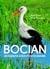 Bocian. Biografia nieautoryzowana by Adam Zbyryt