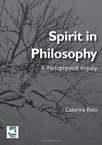 Spirit in Philosophy: A Metaphysical Inquiry (Paperback)