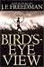 Bird's-Eye View: A Novel