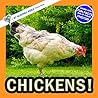 Chickens!: A My Incredible World Picture Book for Children (My Incredible World: Nature and Animal Picture Books for Children)