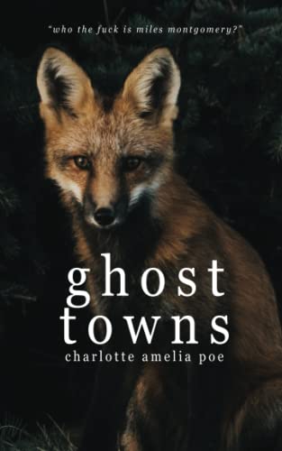 Ghost Towns (Paperback)