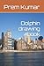 Dolphin drawing book