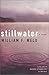 Stillwater : A Novel