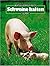 Schweine halten.