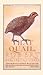 That Quail, Robert by Margaret A. Stanger That Quail, Robert by Margaret A. Stanger