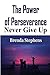 The Power of Perseverance: ...
