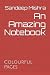 An Amazing Notebook