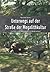 Unterwegs auf der Straße der Megalithkultur: Eine Reise zu den Hünengräbern in Niedersachsen (German Edition)