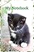 Kitten Notebook: Cute Kitty Notepad