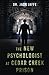 The New Psychologist at Cedar Creek Prison by Jack Jaffe