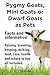 Pygmy Goats as Pets. Pygmy Goats, Mini Goats or Dwarf Goats: facts and information. Raising, breeding, keeping, milking, food, care, health.