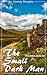 The Small Dark Man (Maurice Walsh) (Literary Thoughts Edition)
