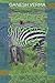Zebra drawing book