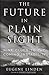 The Future in Plain Sight : Nine Clues to the Coming Instability