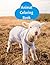Animal Coloring Book: Kids ...