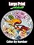 Large Print Adult Color by ...