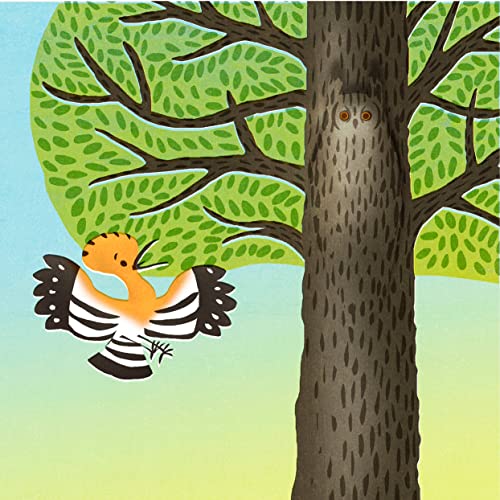 Roiseaux: D'après La conférence des oiseaux (Paperback)