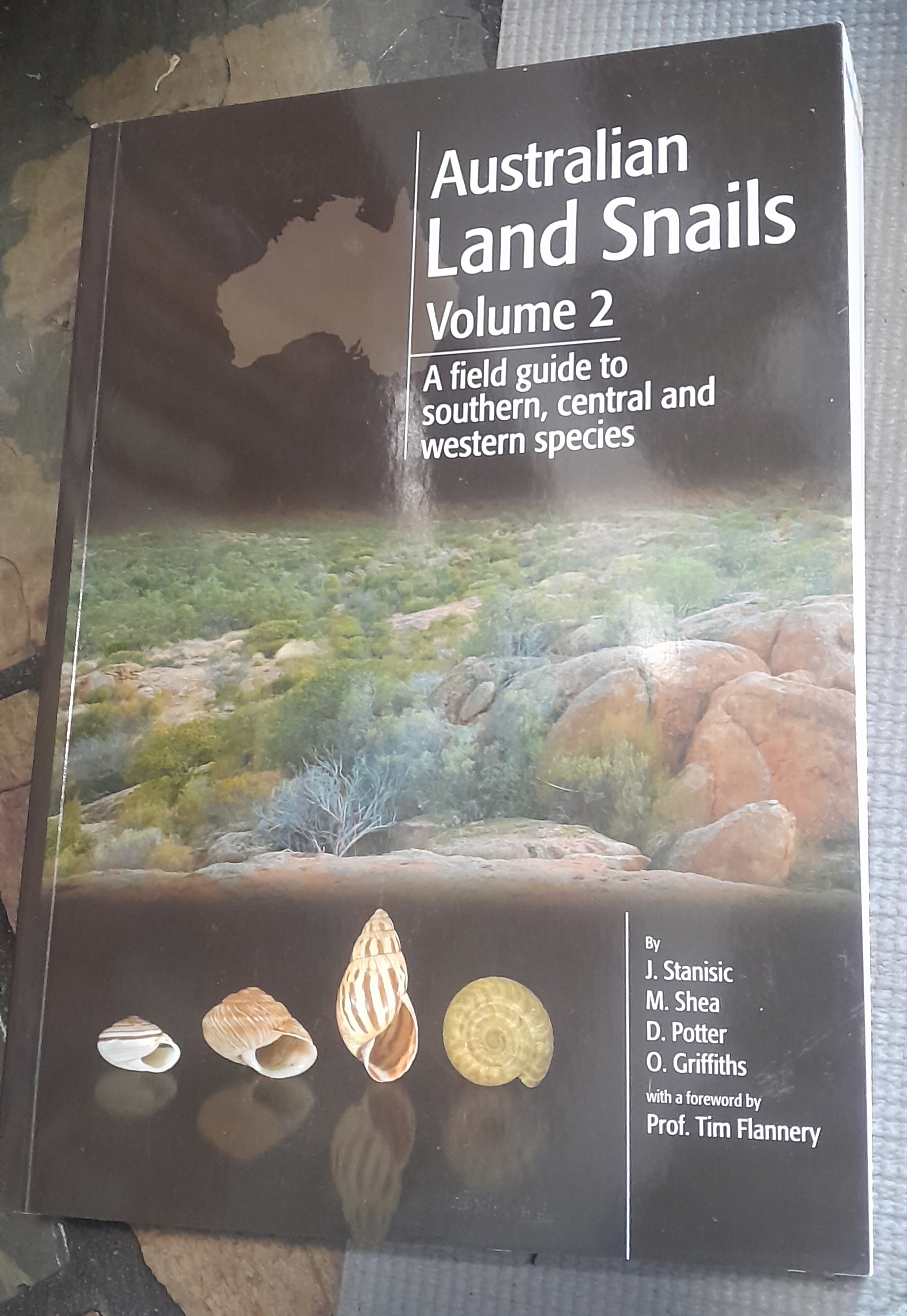 Australian Land Snails: Volume 2. A field guide to southern, central and western species (Paperback)