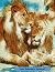 Lion Sobriety Journal