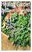 Healing Garden: How to Grow...