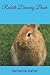 Rabbits Drawing Book