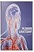 Human Anatomy