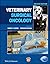 Veterinary Surgical Oncology