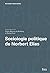Sociologie politique de Norbert Elias (Raisons pratiques) by Cedric Moreau De Bellaing