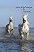 Horses of the Camargue Journal