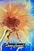 Dream Journal: A Diary to R...