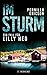 Im Sturm (Lilly Hed, #2)