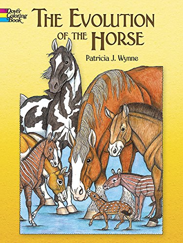 The Evolution of the Horse (Paperback)