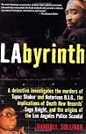 LAbyrinth: A Dete...