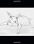 Project Notebook: For Needleworkers