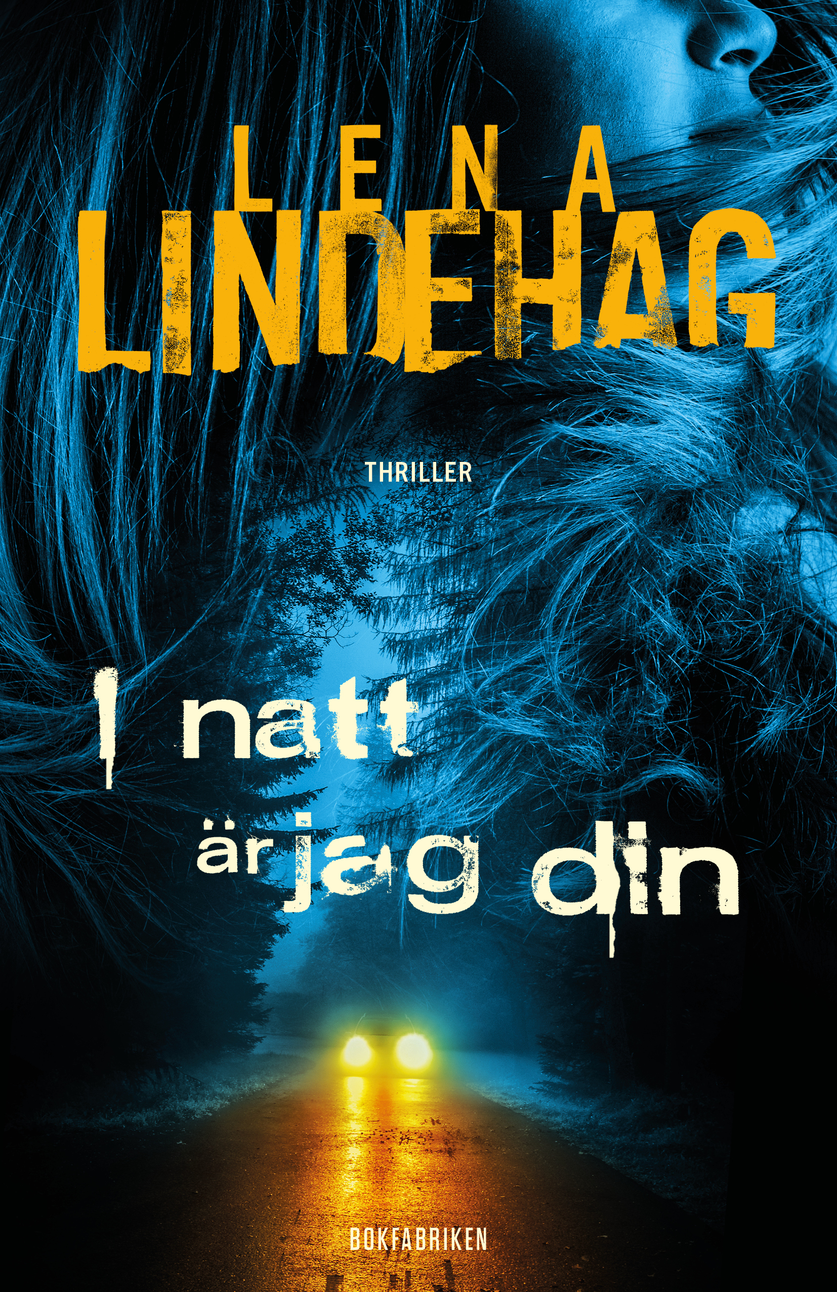 I natt är jag din (Sara Benedikt, #1)