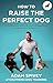 How to Raise the Perfect Dog by Adam Spivey