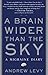A Brain Wider Than the Sky: A Migraine Diary