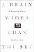 A Brain Wider Than the Sky: A Migraine Diary
