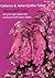 Storia dell'India by Catherine B. Ascher