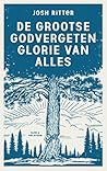 De grootse godvergeten glorie van alles (Dutch Edition)