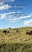 Colorado Research Weld County: A Guide for Genealogists and Local Historians
