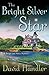 The Bright Silver Star :Berger and Mitry Mystery 3