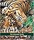 Tiger: The Ultimate Guide