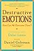 Destructive Emotions: A Scientific Dialogue with the Dalai Lama