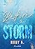 Before the storm (Italian Edition)