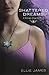 Shattered Dreams: A Midnight Dragonfly Novel