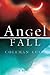 Angel Fall: A Novel
